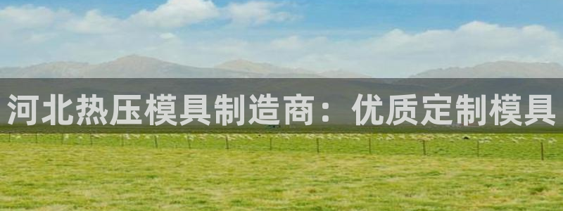 emc下载：河北热压模具制造商：优质定制模具