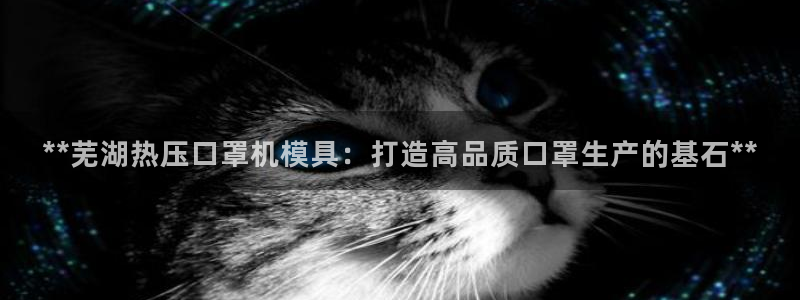 易倍纤代餐奶昔减肥效果怎么样：**芜湖热压口罩机模具：打