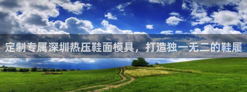 emc参数：定制专属深圳热压鞋面模具，打造独一无二的鞋履