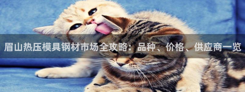 四川易倍易企业管理有限公司