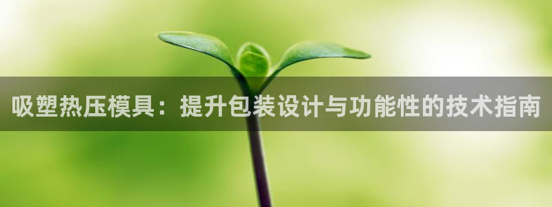 易倍达怎么样：吸塑热压模具：提升包装设计与功能性的技术指