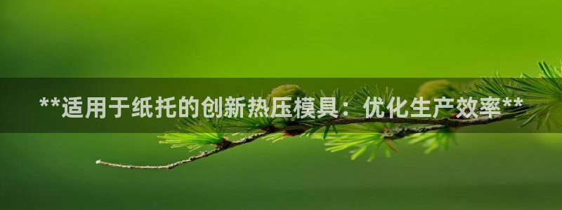 emc32软件：**适用于纸托的创新热压模具：优化生产效