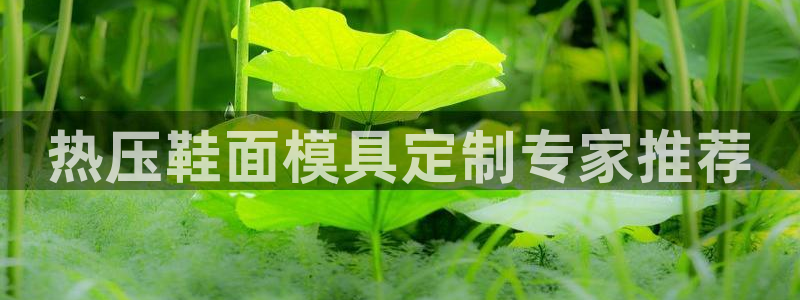 emc全站易倍