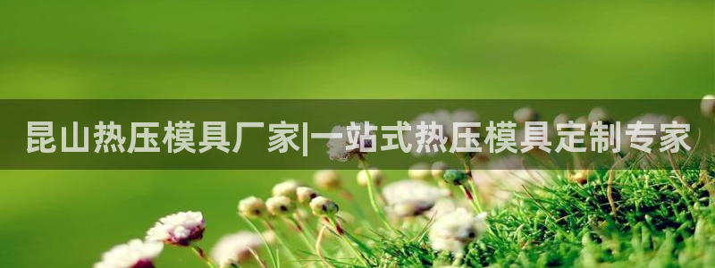 易倍单词官方网站下载