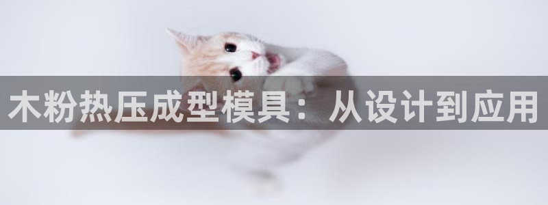 emc调试技巧：木粉热压成型模具：从设计到应用