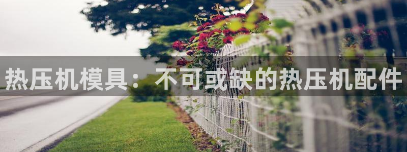 易倍EMC网址