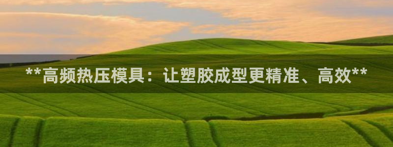 易倍单词软件：**高频热压模具：让塑胶成型更精准、高效*