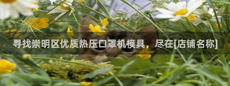 emc易倍官网app