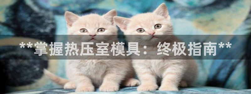 易倍单词登录平台：**掌握热压室模具：终极指南**