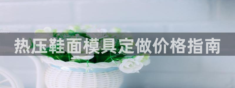 易倍emc网址：热压鞋面模具定做价格指南