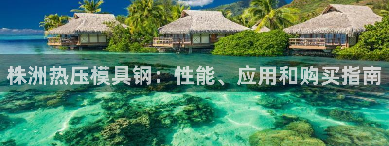 易倍达科技有限公司官网