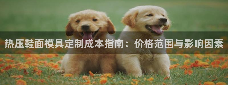 易倍申价格：热压鞋面模具定制成本指南：价格范围与影响因素