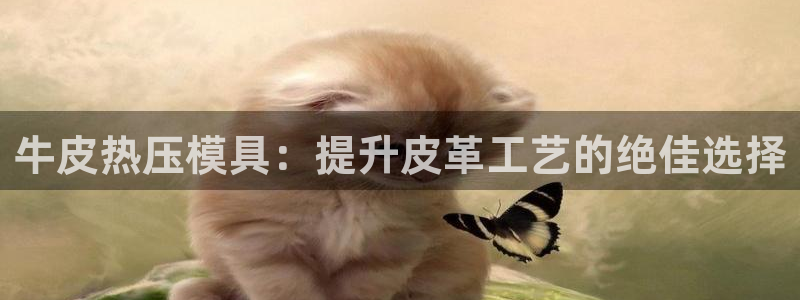 易倍全站下载