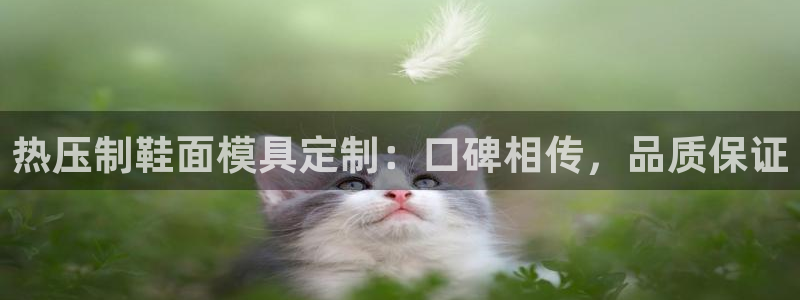 emc全站网页版