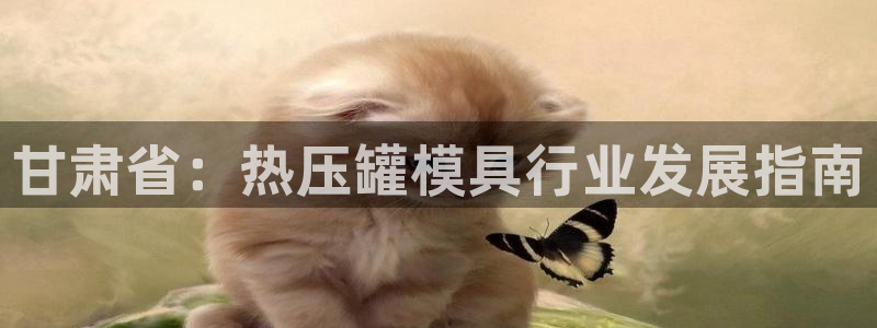 易倍思教育