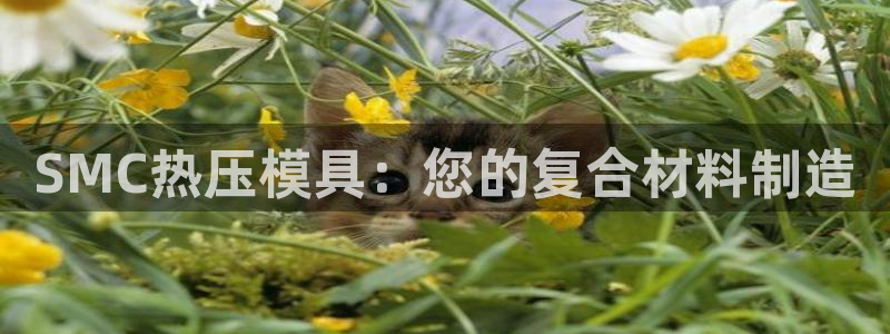 emcapp下载普通下载：SMC热压模具：您的复合材料制