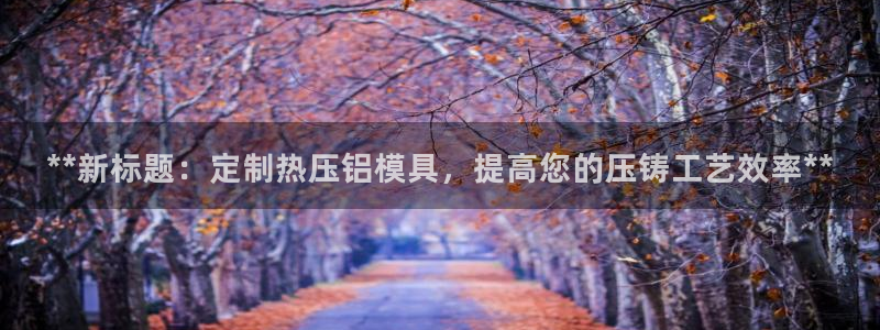 易倍纤多少钱：**新标题：定制热压铝模具，提高您的压铸工