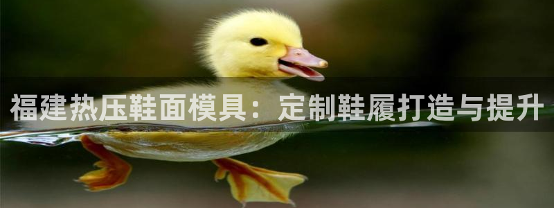 易倍纤官网：福建热压鞋面模具：定制鞋履打造与提升