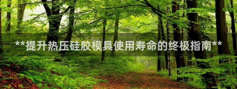 易倍企业管理软件怎么样：**提升热压硅胶模具使用寿命的终