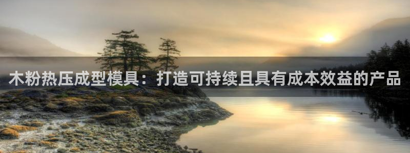 emc全站ag：木粉热压成型模具：打造可持续且具有成本效