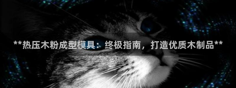 易倍单词app下载：**热压木粉成型模具：终极指南，打造