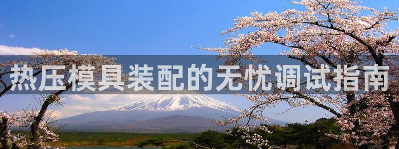上海易倍投资有限公司