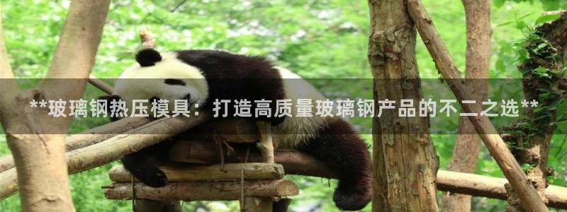 上海易倍投资有限公司：**玻璃钢热压模具：打造高质量玻璃