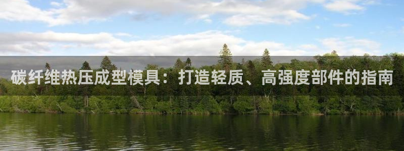 emc服务器是什么：碳纤维热压成型模具：打造轻质、高强度