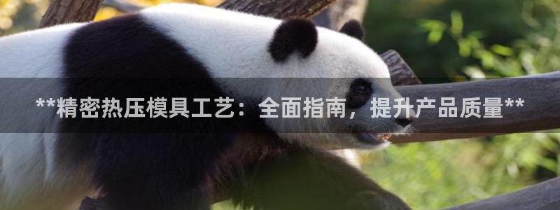 易倍纤使用方法：**精密热压模具工艺：全面指南，提升产品