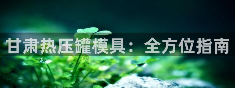 EMC易倍让身份验证