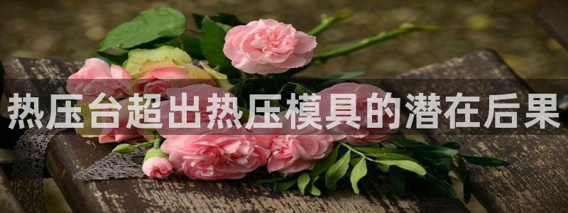 易倍申安理申区别