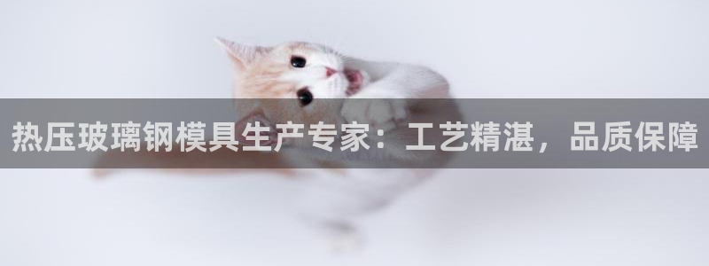 易倍达科技有限公司怎么样