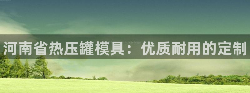 emc频率：河南省热压罐模具：优质耐用的定制