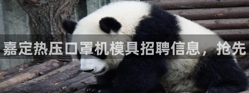 易倍申片