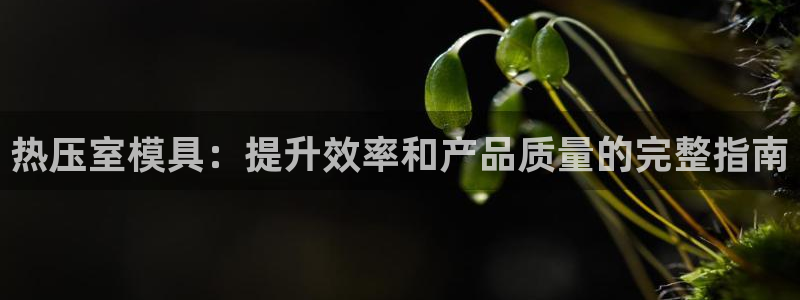 emc易倍官网：热压室模具：提升效率和产品质量的完整指南