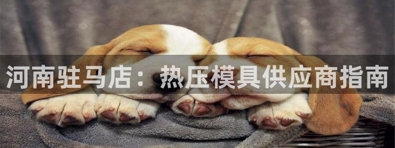 易倍单词如何下载：河南驻马店：热压模具供应商指南