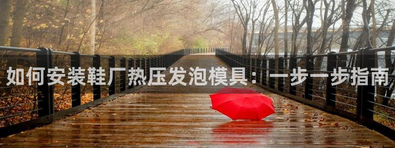 易倍申不良反应：如何安装鞋厂热压发泡模具：一步一步指南