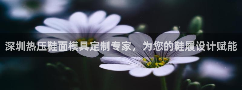 EMC易倍官方平台