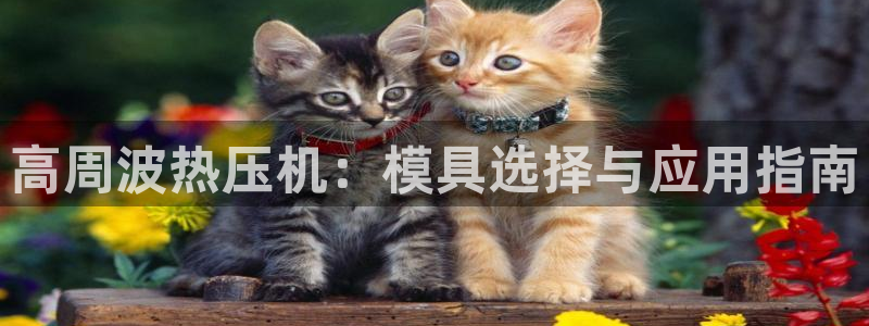 emc低频