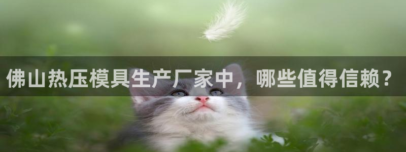易倍达科技有限公司代运营
