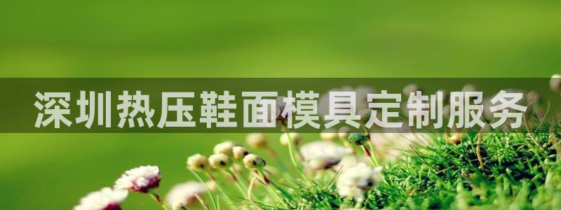 上海易倍投资有限公司