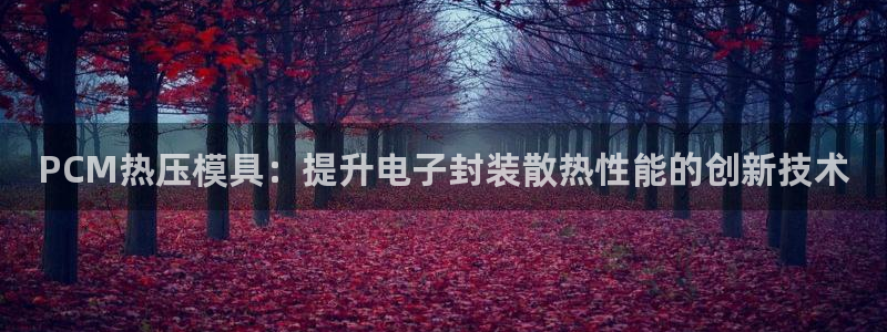 易倍企业管理软件怎么样