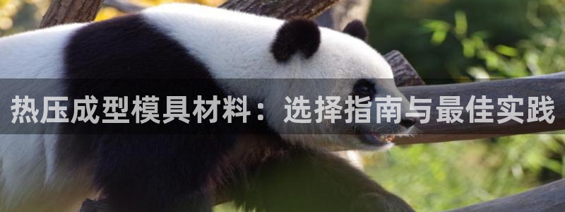 易倍电竞