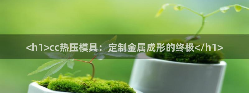 易倍网络技术有限公司官网：<h1>cc热压模具：定制金属