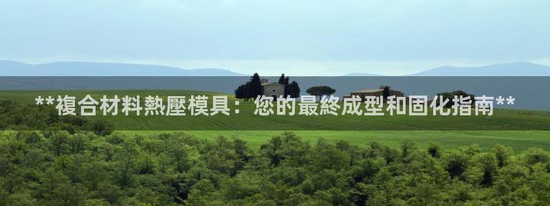 易倍单词软件：**複合材料熱壓模具：您的最終成型和固化指