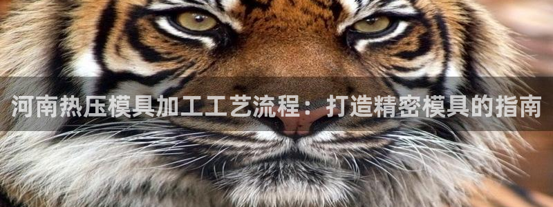 易倍申价格是多少