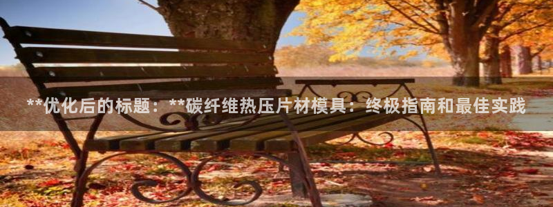 杭州易倍达：**优化后的标题：**碳纤维热压片材模具：终