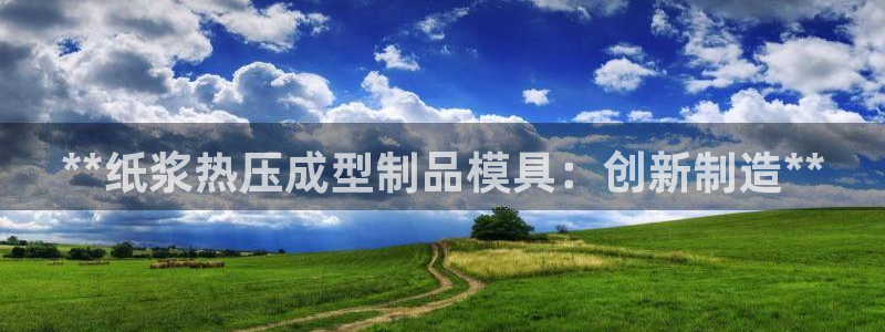 emc易倍平台：**纸浆热压成型制品模具：创新制造**