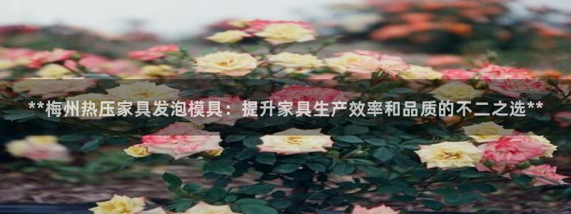 易倍纤谷物粉效果好吗：**梅州热压家具发泡模具：提升家具