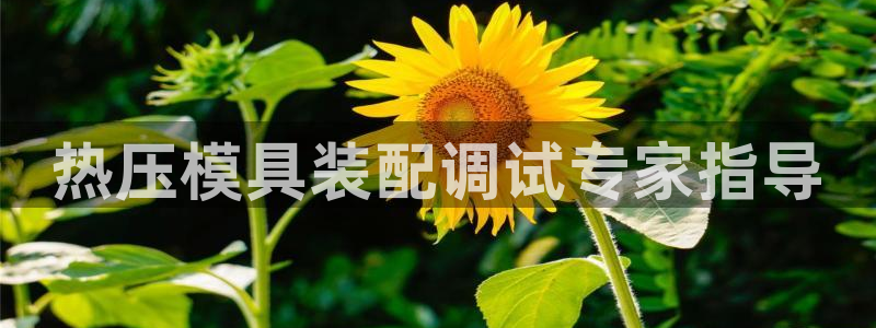 易倍达科技有限公司